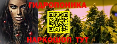 гидра Можга