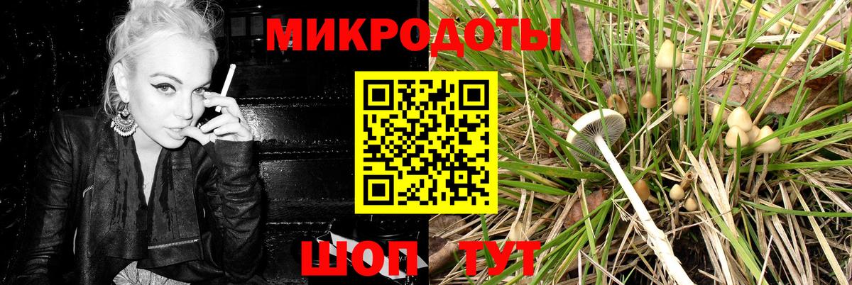 Галлюциногенные грибы Psilocybine cubensis Норильск