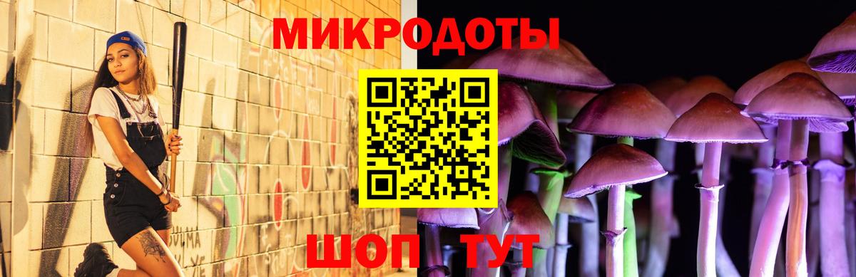 Галлюциногенные грибы Magic Shrooms  Псилоцибиновые грибы мухоморы  Вход с VPN  Норильск 